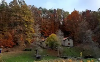 Agriturismo Il Canale